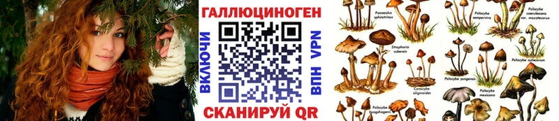 Псилоцибиновые грибы Psilocybe  Евпатория 
