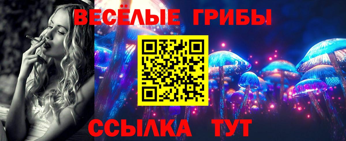 Псилоцибиновые грибы Cubensis  Вход с VPN  Евпатория  Галлюциногенные грибы мицелий 